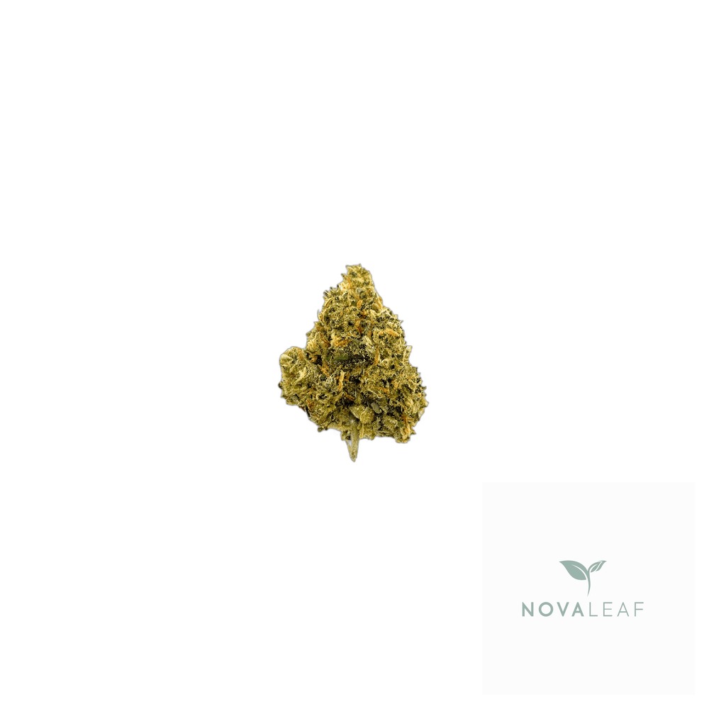 Bedrocan Cannabis Flos 22/1