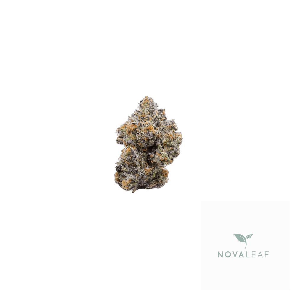 Eufloria 27/1 MOG Marshmallow OG