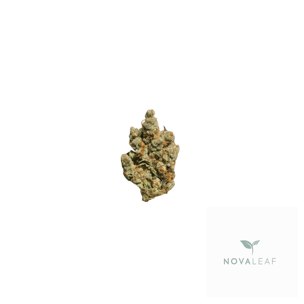 Cannamedical Sativa forte Venomz Eve