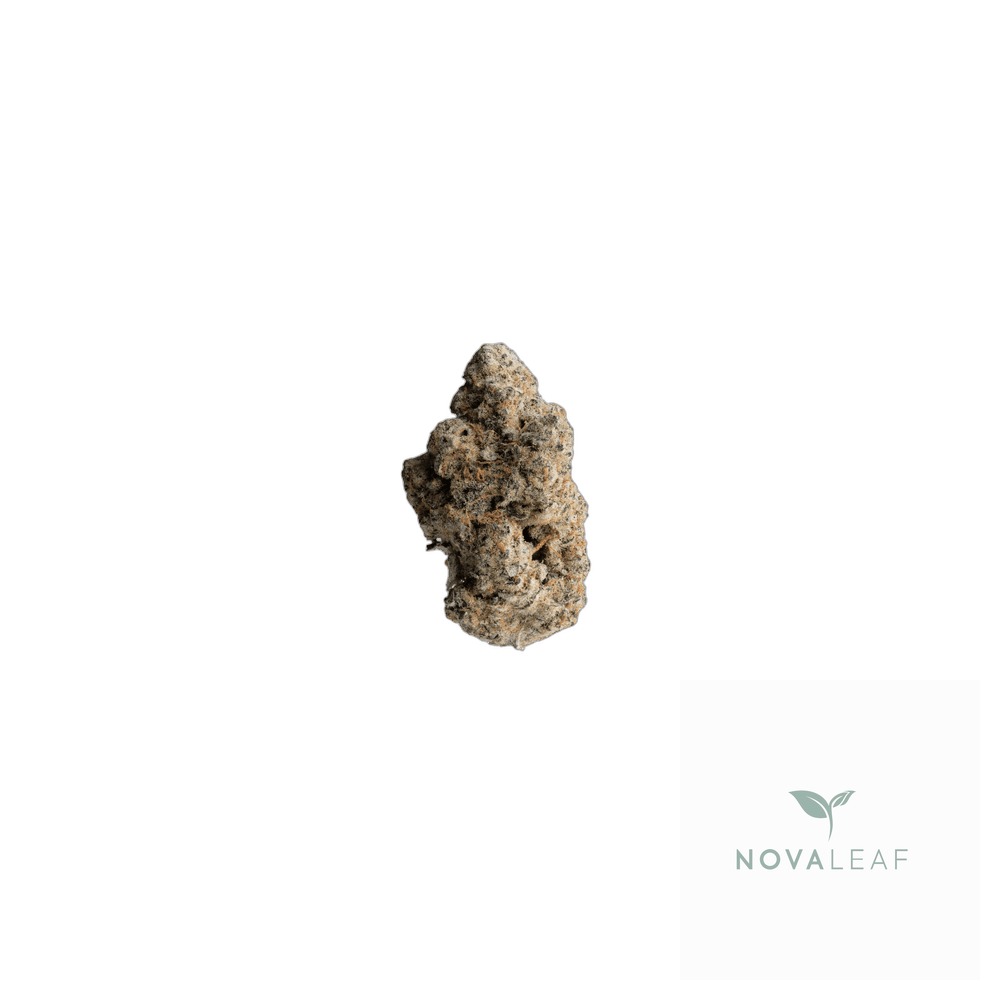 GrowMotion TJ27 Tricho Jordan