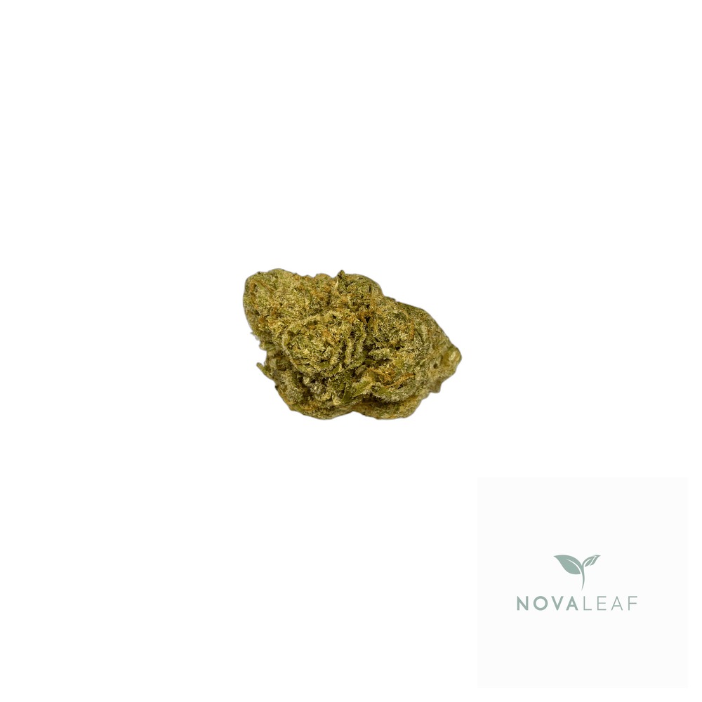 All Nations LT 21/1 Lemon Tartz