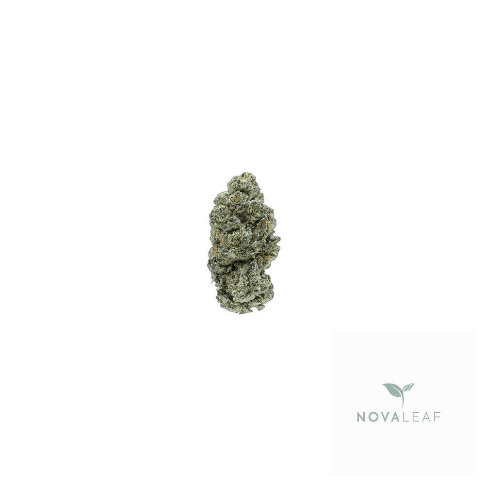 madrecan 21/1 GB9 Garlic Budder