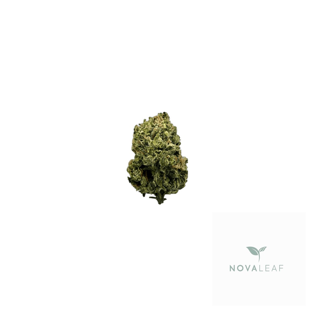 ZOIKS 22/1 SF Sourflare