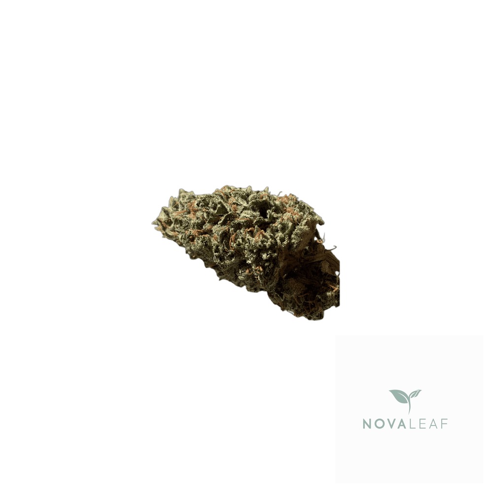 Barongo 26/1 LAK LA KUSH