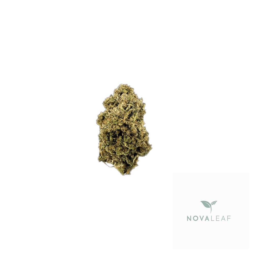 187 Cannabisflower BSCT THC22 Biscotti
