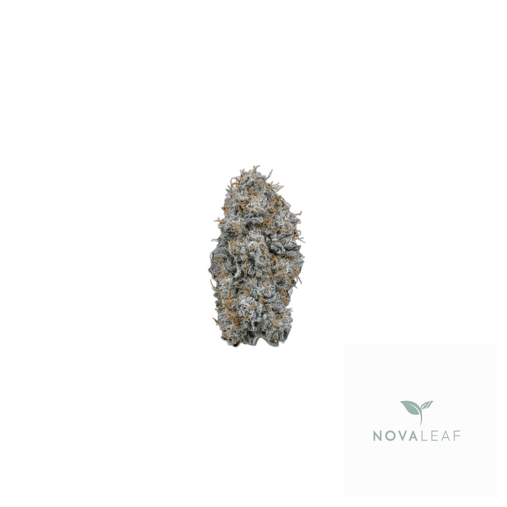 187 Cannabisflower PPP THC22 classics Phantasia Purp