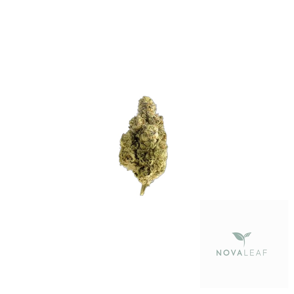Slouu 20/1 PS3 CA OGK OG Kush